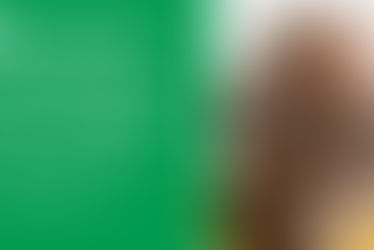 Trousse de prévention de la fraude pour aînés