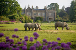 cotswold wildlife park