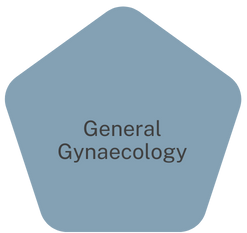 Untitled design (32).png