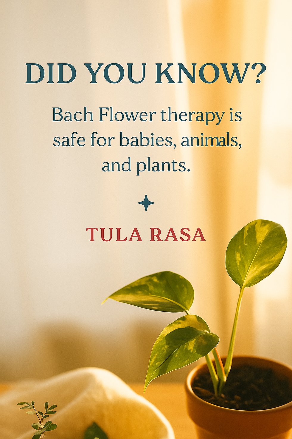 “Bach Flower therapy is safe for babies, animals, and plants” with plant photo.