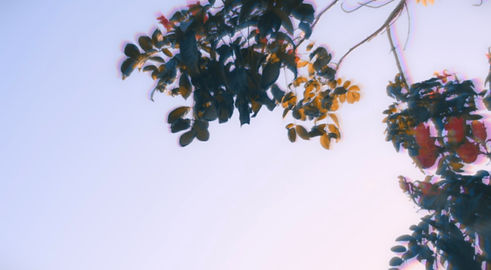 IMG_1458.jpeg