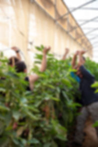 Image 22-04-2020 at 12.02.jpeg