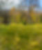 IWallner_Garten_Bestand_04.jpg
