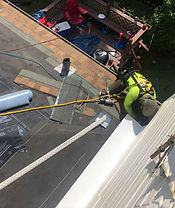 IMG_1790.JPEG