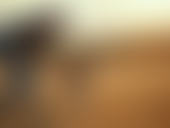 Aggressive Dog Behavior Help: Behavior Modification for Aggressive Dogs, by Chris Maynard 