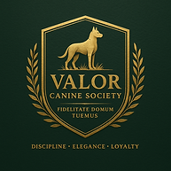 Elite dog training. Unbreakable bond