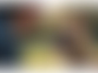 The Benefits of Dog Behavior Consultations