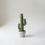 Miniatura: Vaso cacto