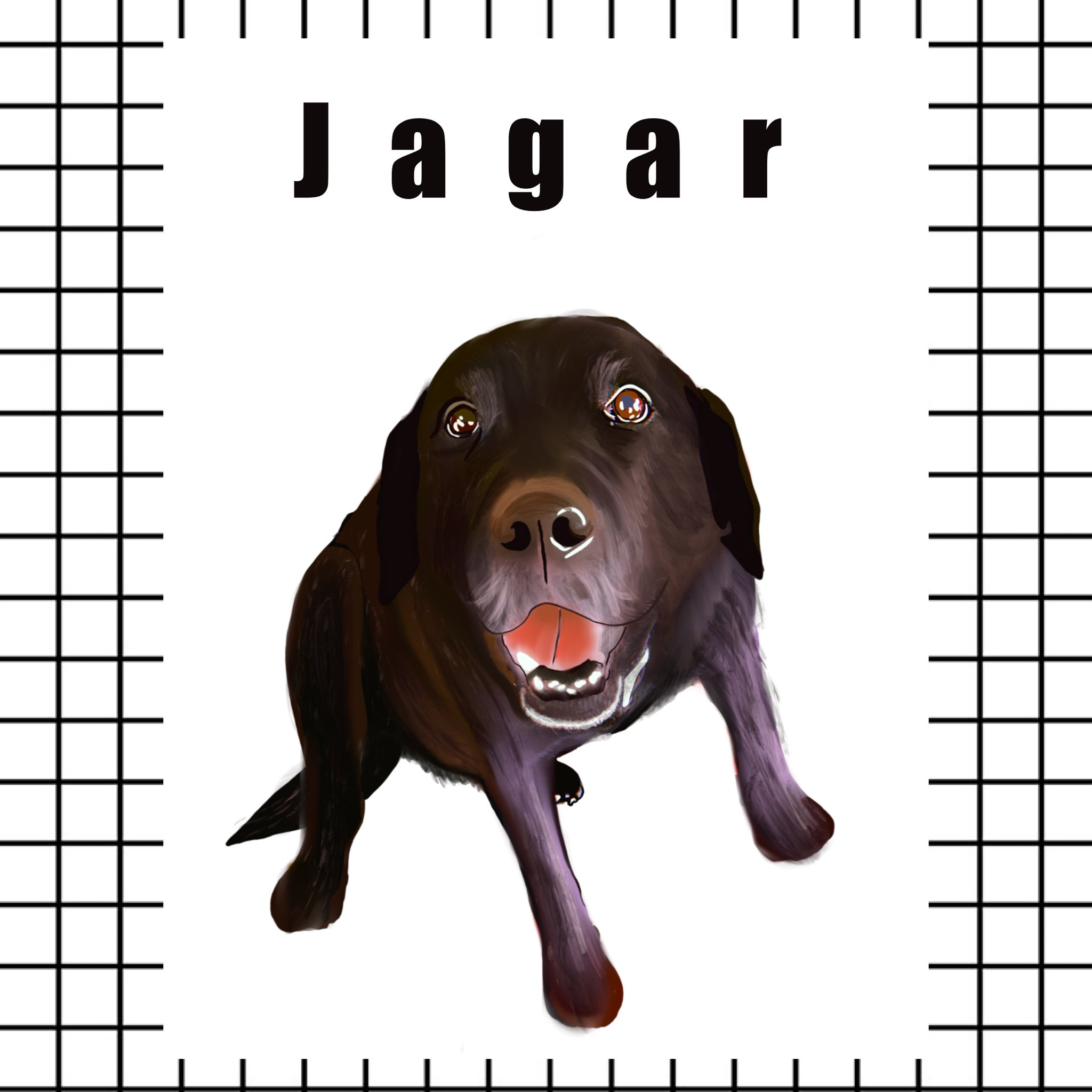 Pet Illustration