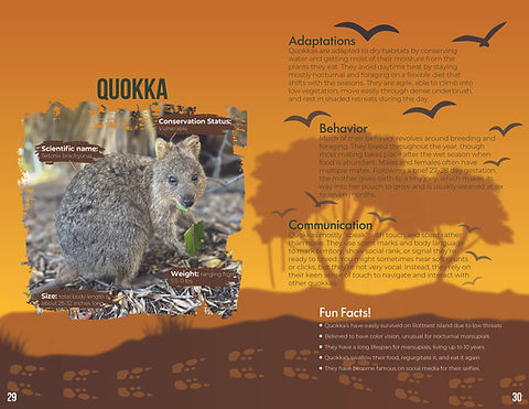 Field Guide Project 217.jpg