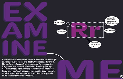 Type Specimen P4 Booklet Final-05.jpg