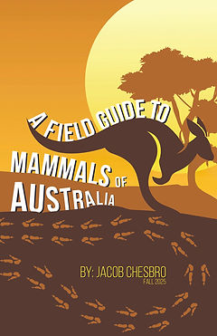 Field Guide Project 2.jpg