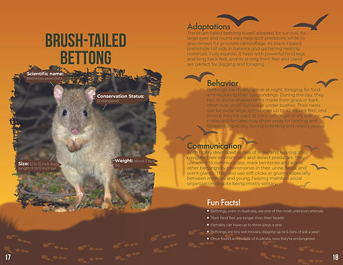 Field Guide Project 211.jpg