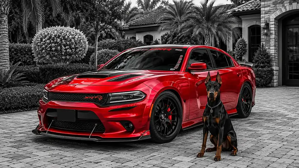 polk-city-florida 2020-red-dodge charger-2-stage paint-correction-5 year-ceramic-coating