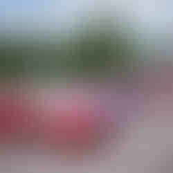 Guests gather at Montaluce Winery & Restaurant for wine, food, and Ferraris