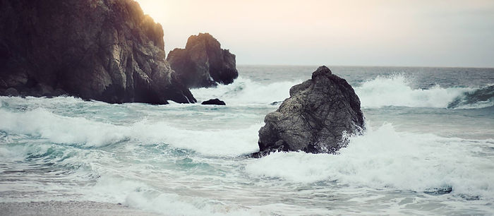 bord de la mer