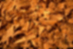 ree
