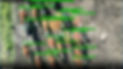 WhatsApp Image 2025-07-18 at 11.54.07.jpeg