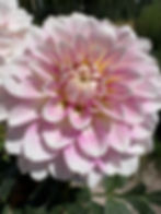 Thumbnail: MB's LipstickSmear