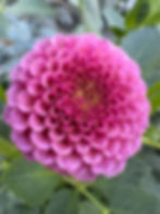 Thumbnail: Koko Puff