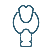 6. Endo Icon.png