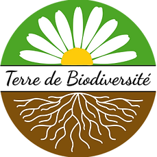 fleur, racine, biodiversité