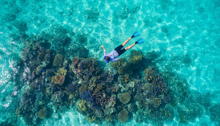 Close-up view of a snorkeler floating above coral in clear Belizean water
