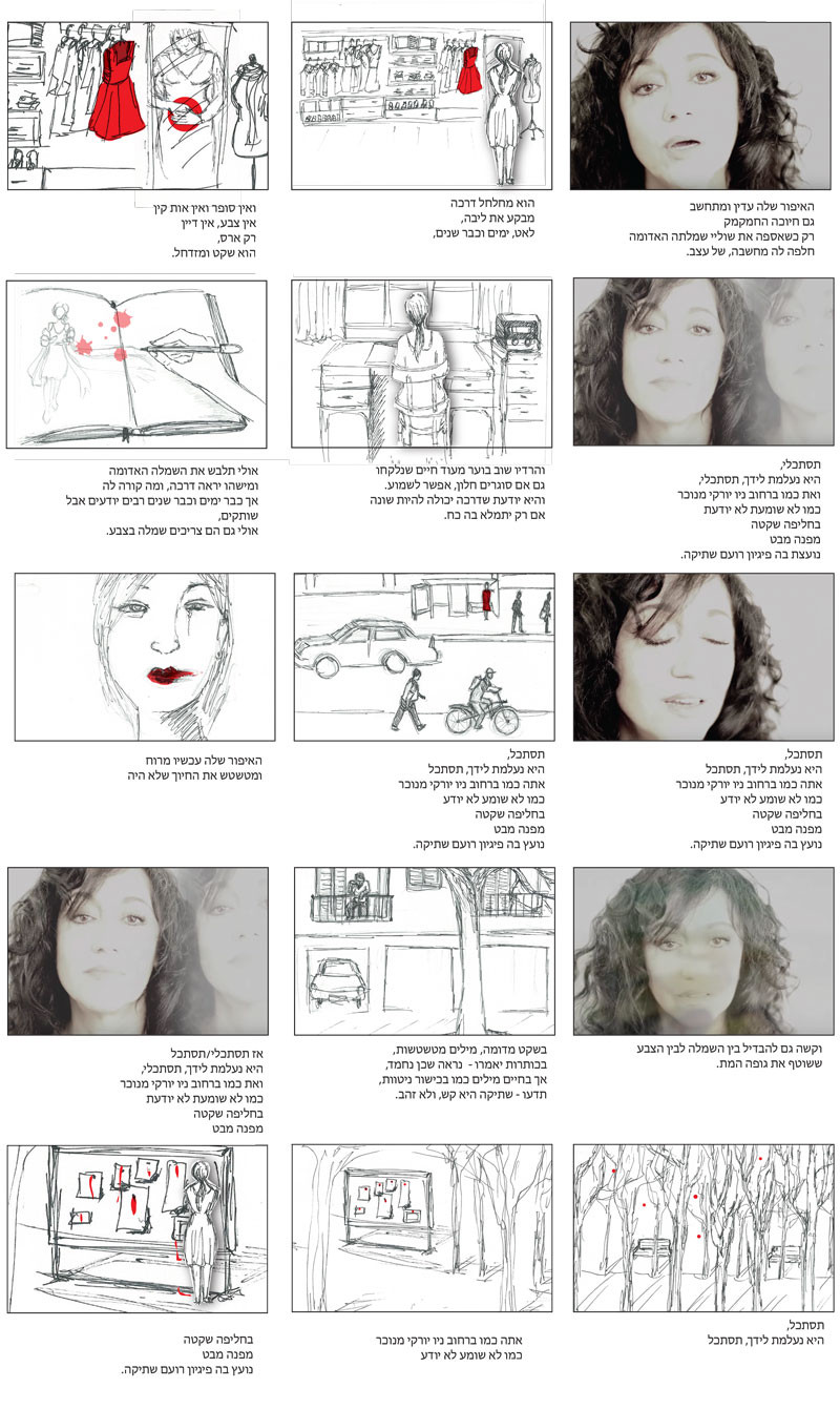 איור סטורי בורד