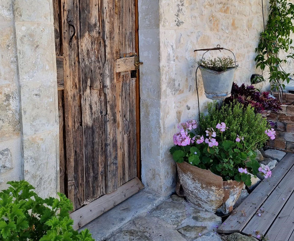 Entrance Door, Blue Daisy House