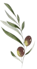 olive.png