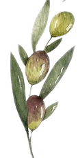 olive3.png