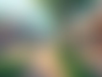 Cafe Tupac Cooperative And  MORE THANK YOU