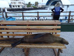 8 Diese Bank ist besetzt