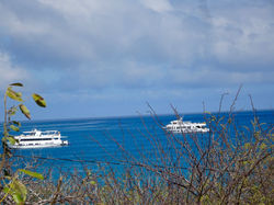 Ein letzter Blick auf unser Schiff