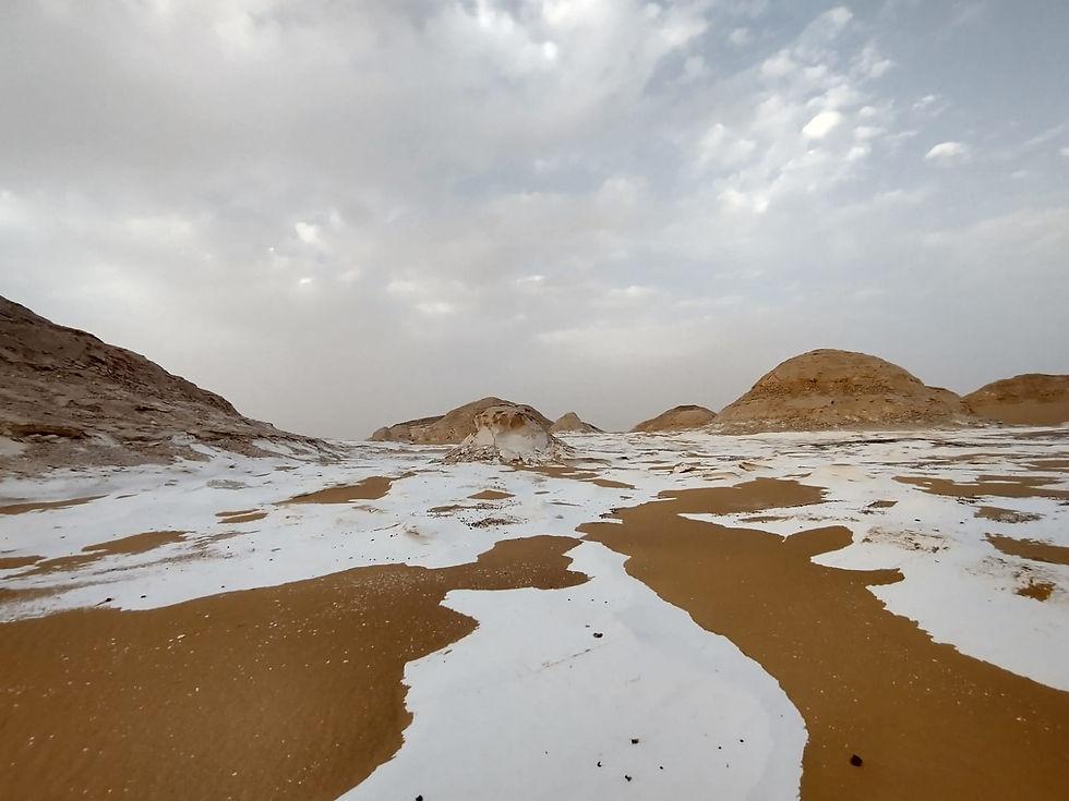 Bahariya Oasis