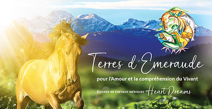 Capture d'écran 2025-12-19 122934_edited