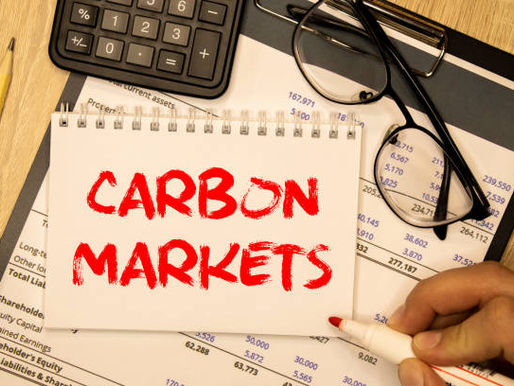 Why carbon offsetting should die out but healthy carbon markets should live on