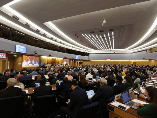 MEPC 84: IMO’s Secretary-General urges for pragmatic exchanges