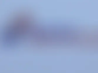 Malaysian carbon exchange to host first local carbon credit auction in July