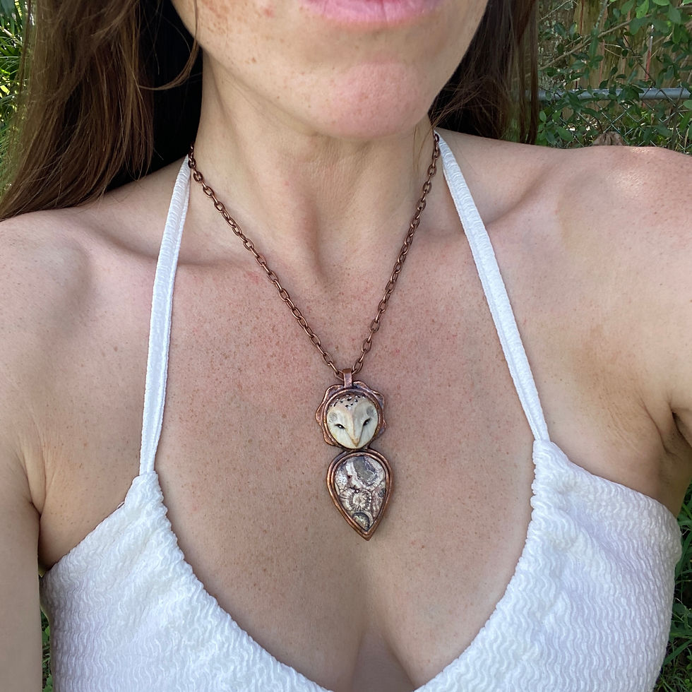 Thumbnail: Barn Owl + Bird's Eye Agate Totem