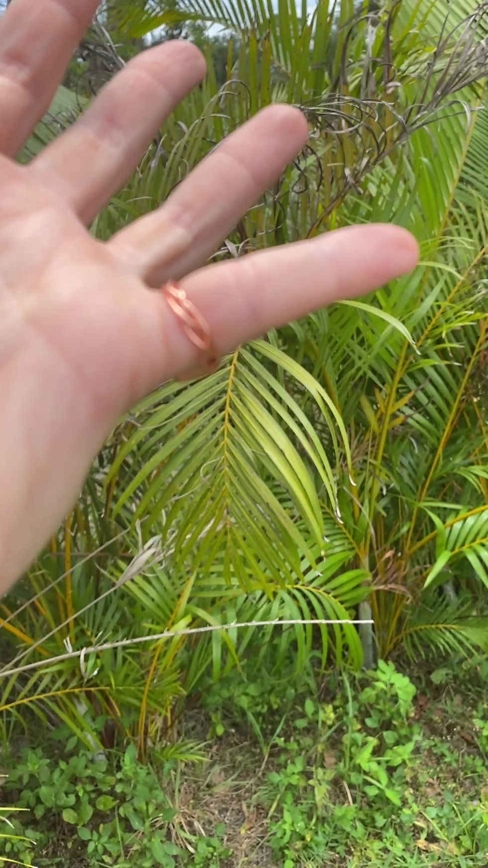 Thumbnail: Hubei Turquoise - Size 4