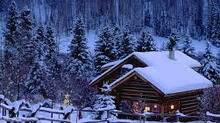 The cabin