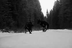 26730910_1767190076645438_33425664831149