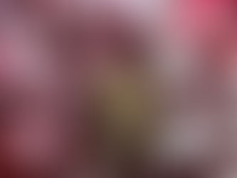 wuthering heights: classical reality t.v