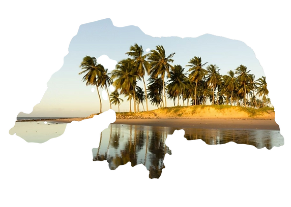 Design sem nome_edited.png