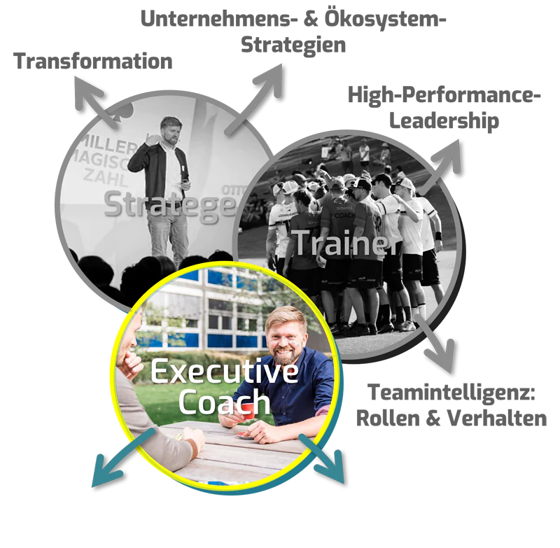 TB_3_Circles_Coach_lg.webp