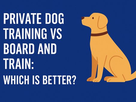 Illustration of a dog sitting next to bold text that reads "Private Dog Training vs Board and Train: Which Is Better?" — a visual promoting a blog comparing two popular dog training methods.