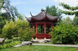 Chinois haute loire
