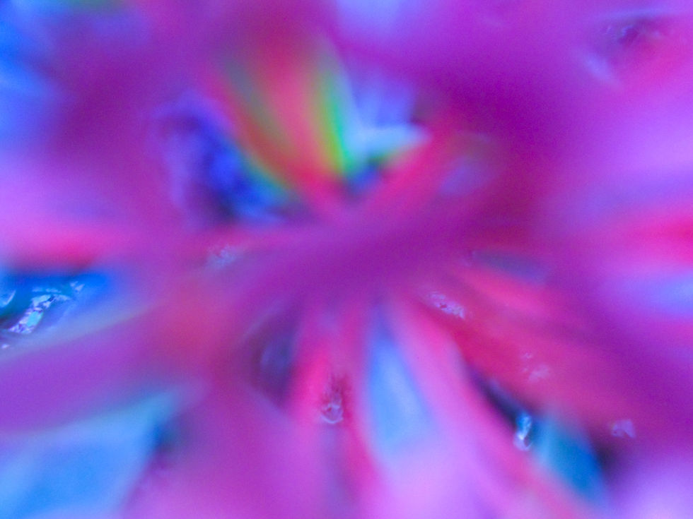 Abstrac Flower