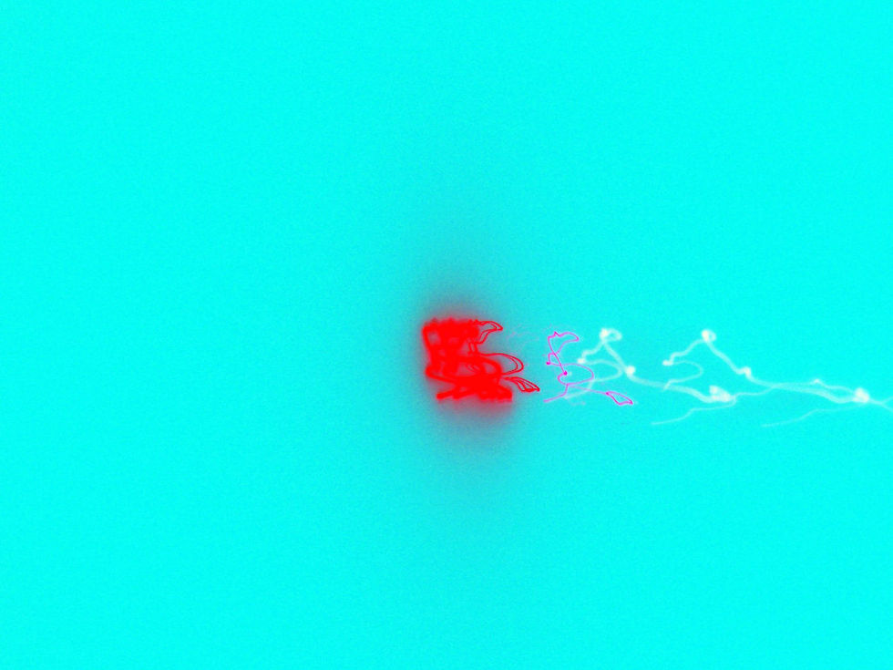 P1011119ab.jpg